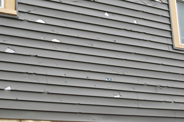 Best Property Management Cleanouts  in Tularosa, NM